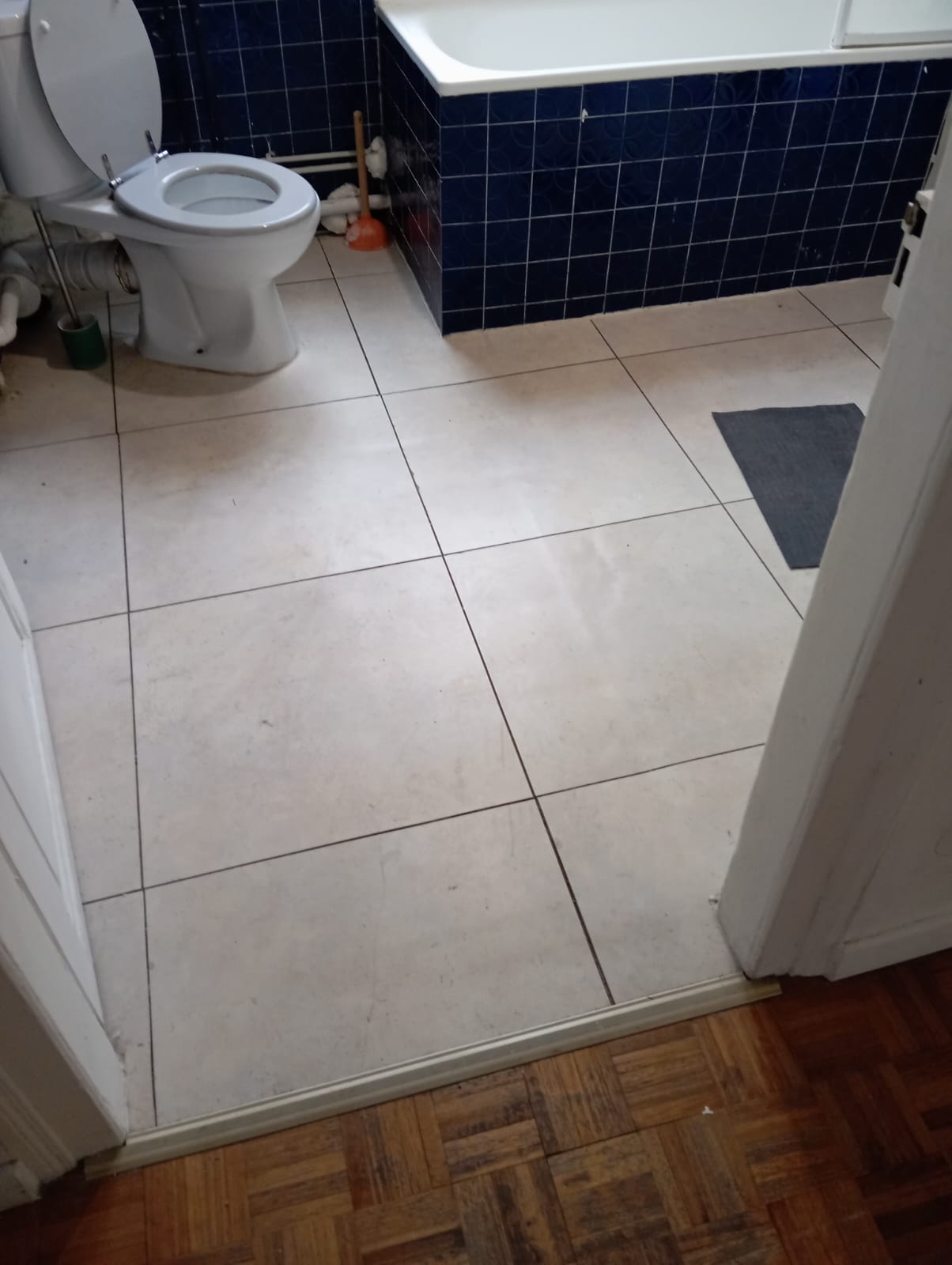 Salle de bain avant démolition - Espace toilettes avec carrelage bleu